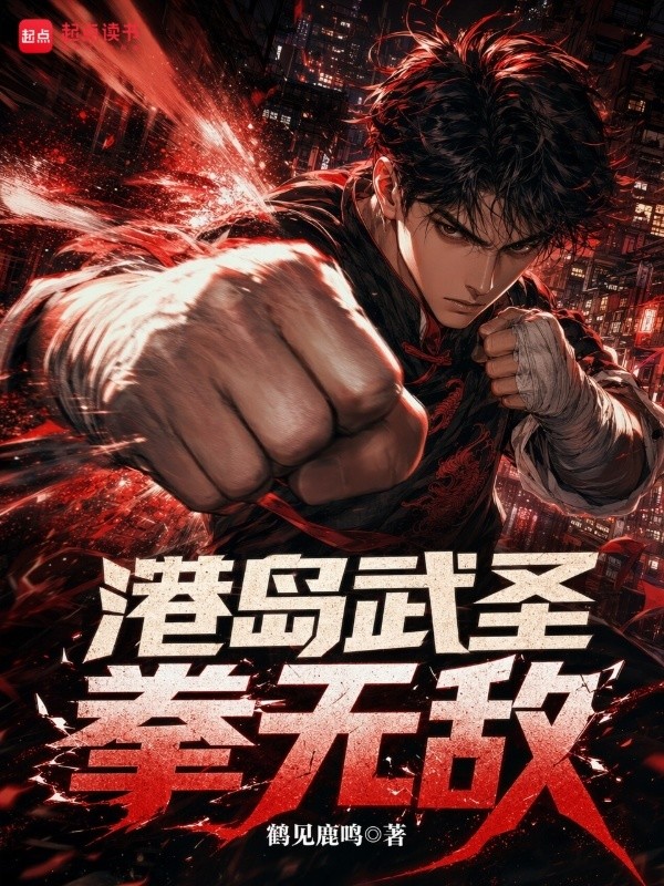 港岛武圣拳无敌封面